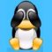 Linux-kijk-N.jpg