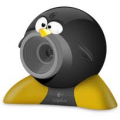 PinguinWebcam.png
